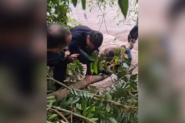 Imagem colorida, Criança de 11 anos é salva de tromba d’água por policiais em rio de Vila Bela- Metrópoles