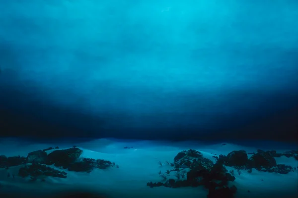 Foto colorida de fundo do mar - Metrópoles