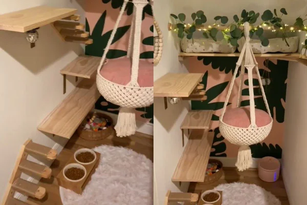 quarto para gatos