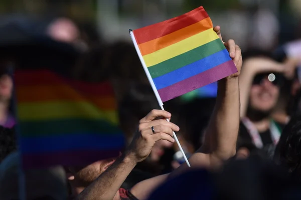 bandeira lgbtqia+