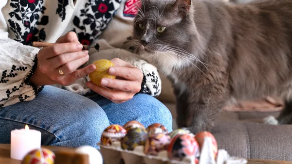Veterinária revela alimentos que podem intoxicar os pets na Páscoa