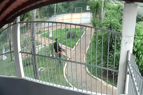 Homem armado é preso após agredir mulher em parquinho infantil no DF