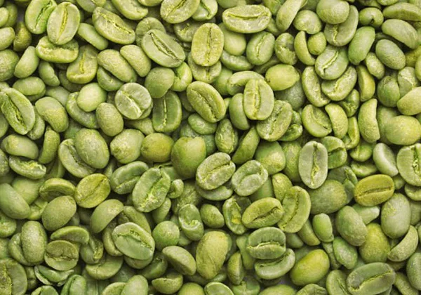 Café verde instantâneo acelera metabolismo em 3x e faz emagrecer