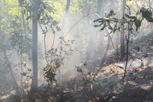 Incêndio em Pirenópolis - Metrópoles