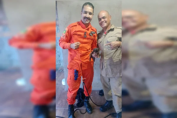 Bombeiros e cachorro - Metrópoles