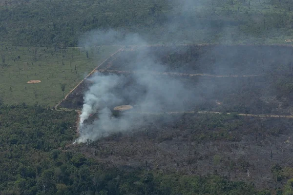Desmatamento na Amazônia cresceu 33% em relação ao ano passado