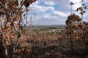 Há possibilidade de que queimada próximas às invasões seja para facilitar loteamento Há possibilidade de que queimada próximas às invasões seja para facilitar loteamento