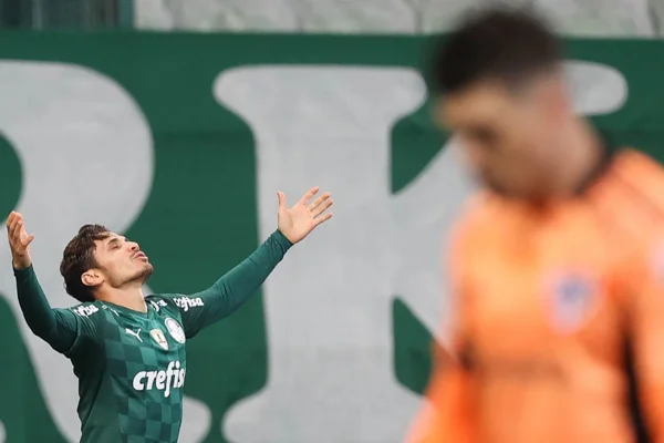 Raphael Veiga Palmeiras