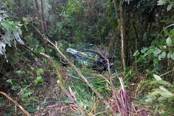 Imagem colorida de carro em meio a matagal após acidente em SC - Metrópoles
