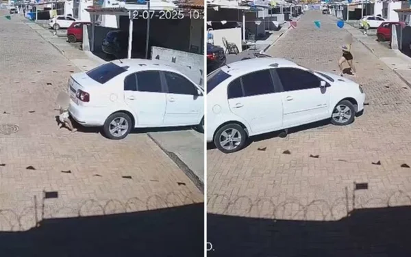 imagem colorida menino é atropelado por vizinha em condominio