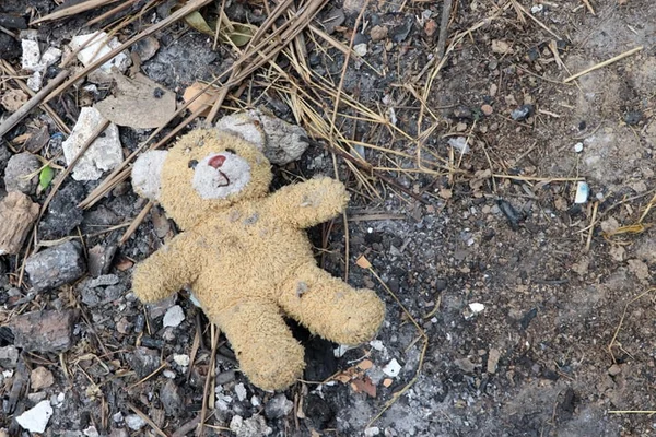 Mãe e 3 crianças russas foram resgatadas em Santa Catarina em condições insalubres - Metrópoles