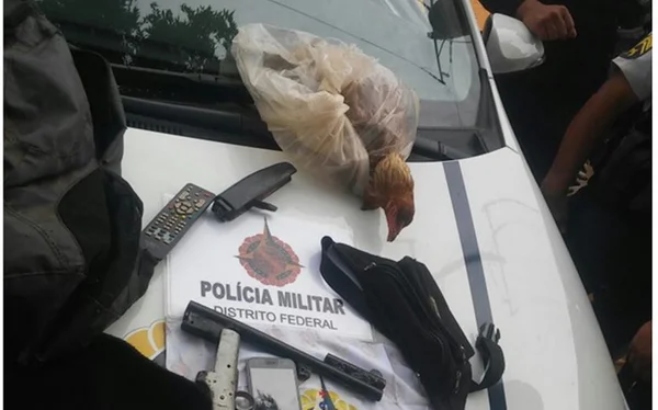 Homens roubam galinhas, celulares e dinheiro em chácara de Santa Maria