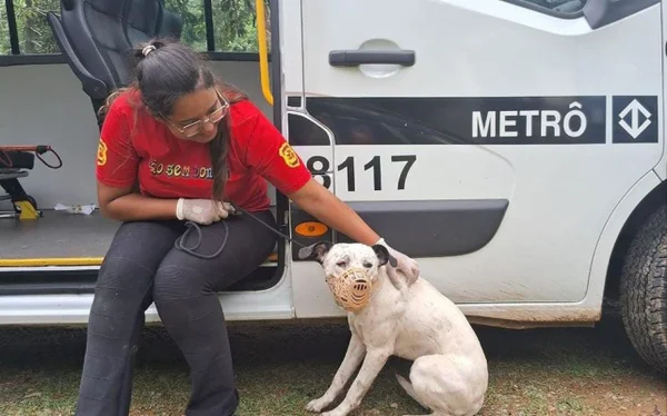 Imagem de mulher com blusa vermelha fazendo carinho em cachorro branco - Metrópoles