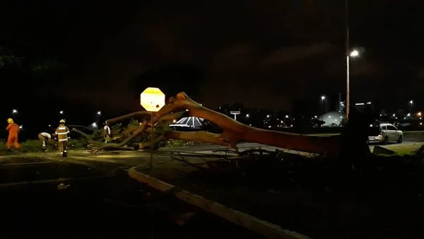 Chuva forte. Árvore cai e ocupa cinco das seis faixas da Esplanada