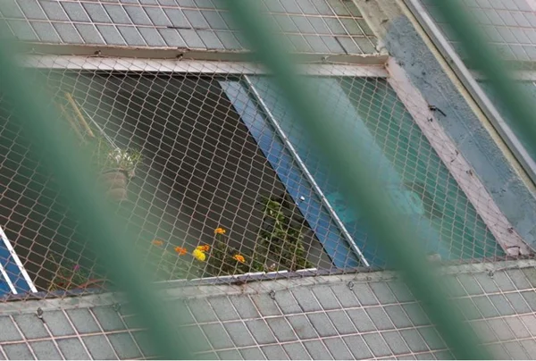 Após três horas, babá e crianças que sumiram no DF são encontradas