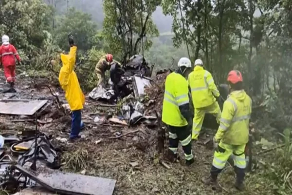 Imagem colorida, diversos brigadistas em um acidente em região de mata - Metrópoles