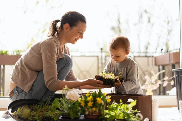 Mãe plantando uma horta com o filho