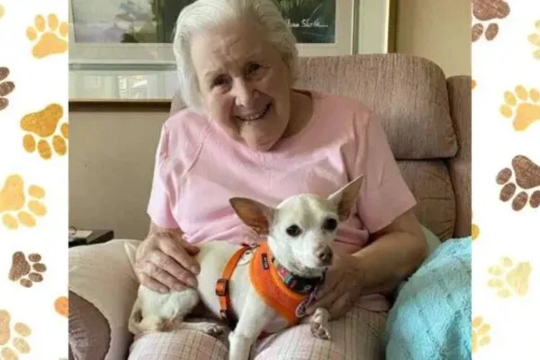 idosa de 100 anos com pet idoso
