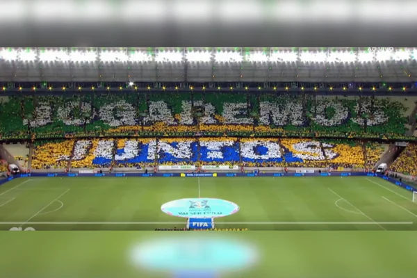 Mosaico na partida da Seleção Brasileira Feminina