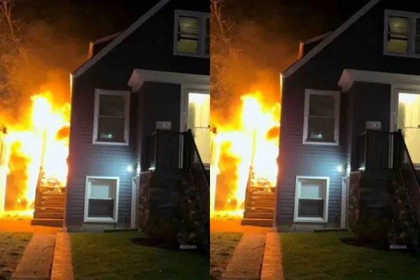 cachorro salva família de incêndio