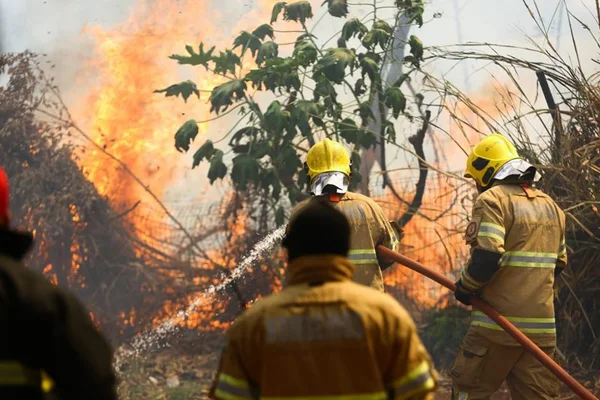 Incêndios atingem parques da Cidade e do Guará nesta quarta (12/9)