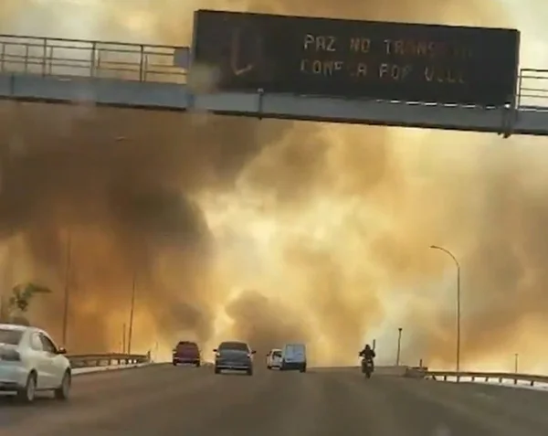 DF: incêndios em vegetação serão considerados crimes com dolo eventual