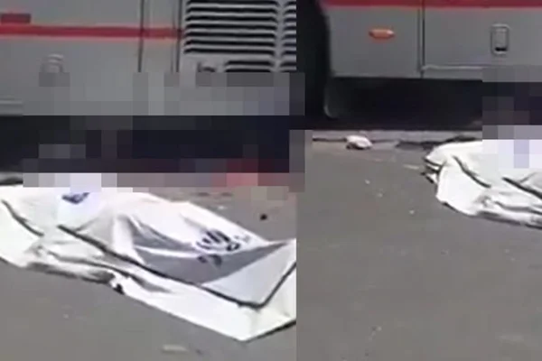 Homem morre esmagado por ônibus e moradora de rua come cérebro da vítima