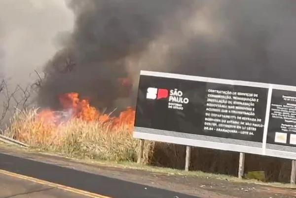 Incêndio atinge mata em trecho de estrada entre Boa Esperança do Sul e Dourado, interior de SP - Metrópoles