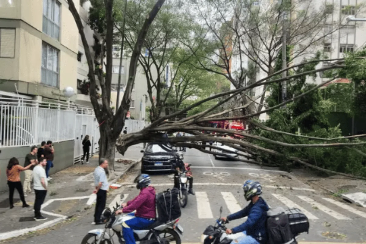 Segundo o CGE, nas próximas horas, as rajadas de vento podem atingir os 60km/h Segundo o CGE, nas próximas horas, as rajadas de vento podem atingir os 60km/h