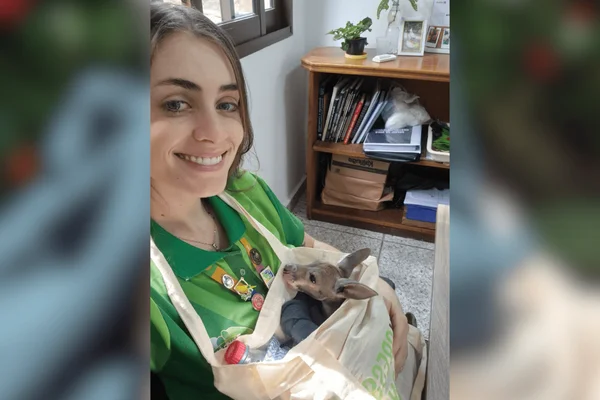 O abandono foi identificado por causa do monitoramento 24h do complexo de conservação ambiental, o que garantiu a sobrevivência do filhote