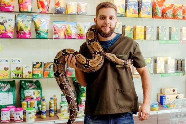 Entre cobras e lagartos: pet shop se especializa em animais exóticos