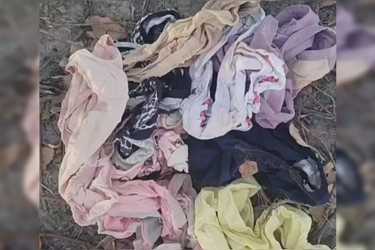 Calcinhas achadas na casa onde o Maníaco da Calcinha foi preso Calcinhas achadas na casa onde o Maníaco da Calcinha foi preso