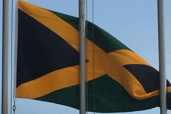 Jamaica para de importar e orienta povo a não consumir carne do Brasil