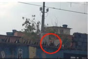 Olheiro observa movimentação