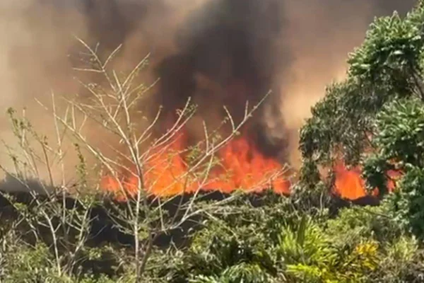 Grande incêndio atinge mata próxima ao Aeroporto JK. Vídeo