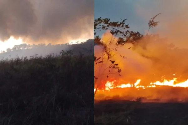 Indígenas Maxakali cobram ajuda após fogo atingir 800 hectares em MG