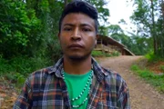 Tiago Karai era uma das principais lideranças da aldeia Kalipety, em SP. Esposa, os dois filhos, irmã e outros 2 indígenas também morreram - Metrópoels Tiago Karai era uma das principais lideranças da aldeia Kalipety, em SP. Esposa, os dois filhos, irmã e outros 2 indígenas também morreram - Metrópoels