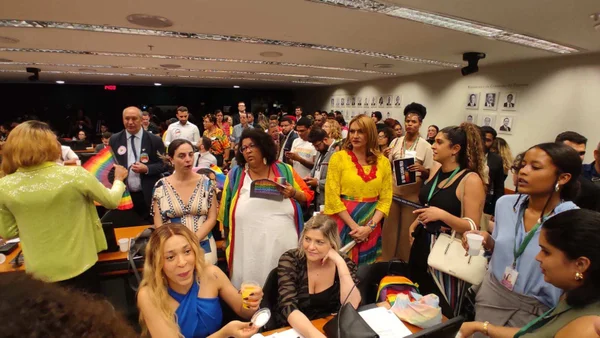 Manifestantes LGBTQIA+ tomam comissão que define casamento gay