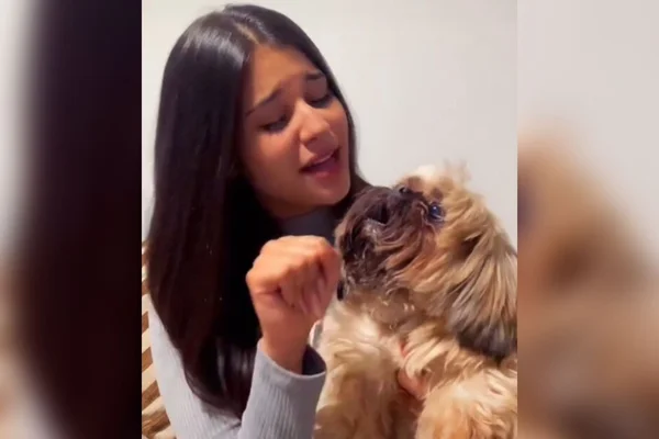 Viralizou: cão acompanha ex-The Voice Kids do DF em dueto e surpreende
