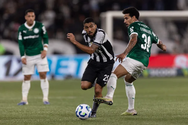 Foto colorida de Botafogo e Palmeiras - Metróples