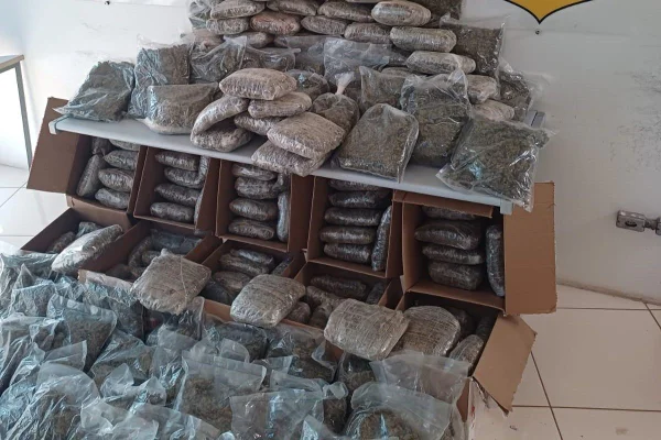 Imagens coloridas mostram tabletes de skunk, conhecida como supermaconha