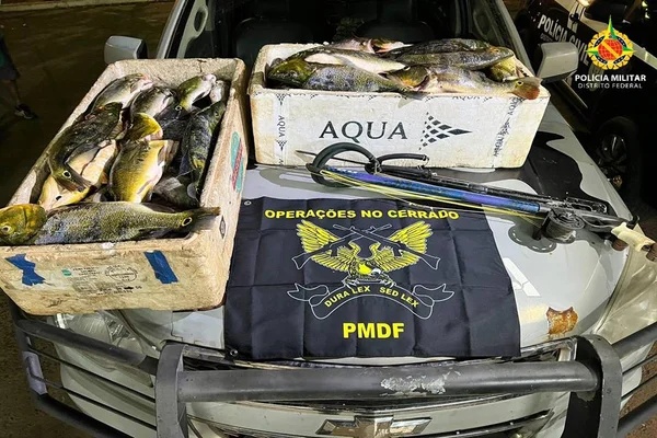Pescado ilgeal DF