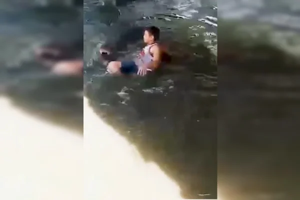 Imagem colorida de crocodilo mordendo perna de homem