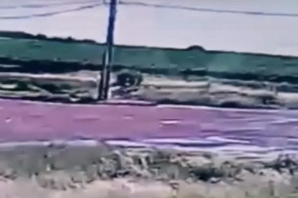 Vídeo. Homem de 30 anos morre em acidente de kart no Paraná