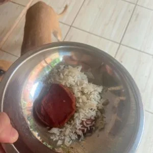 goias restos de comida encontradas em residência onde mulher era mantida em cárcere privado junto ao filho de dois anos no município de Posse (GO)