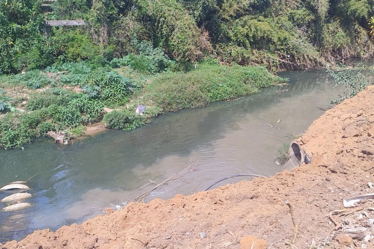 A Prefeitura de Bragança Paulista lavrou um auto de infração ambiental contra a Sabesp após verificar um vazamento de esgoto em um ribeirão - Metrópoles