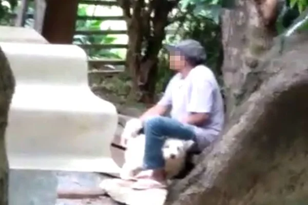 Homem é flagrado por vizinhos estuprando cachorro no Lago Norte