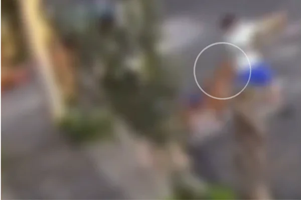 Vídeo da câmera de segurança do local mostra menino sendo arrastado pelo cão, enquanto moradores tentam prestar socorros