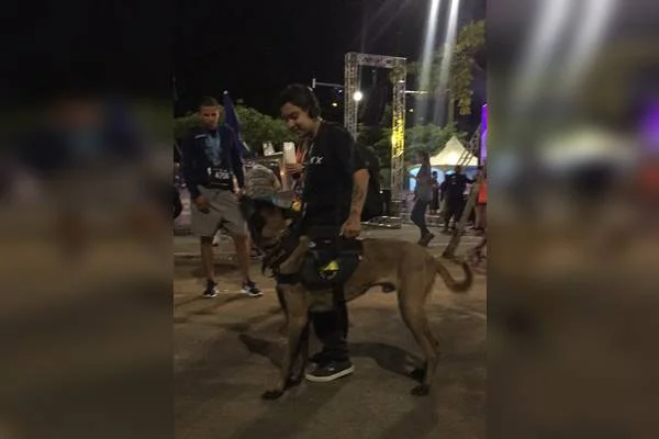 Rapaz e cão de serviço