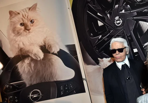 RIP Daddy: gata Choupette estampa itens em homenagem a Karl Lagerfeld